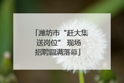 潍坊市“赶大集 送岗位” 现场招聘圆满落幕